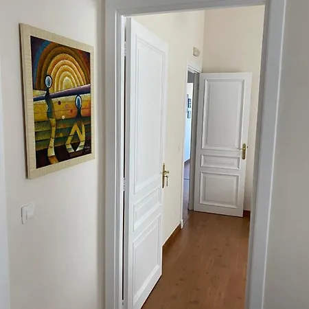 Piso Auditorio Centro Apartment *