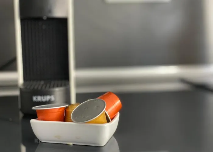 Piso Auditorio Centro *