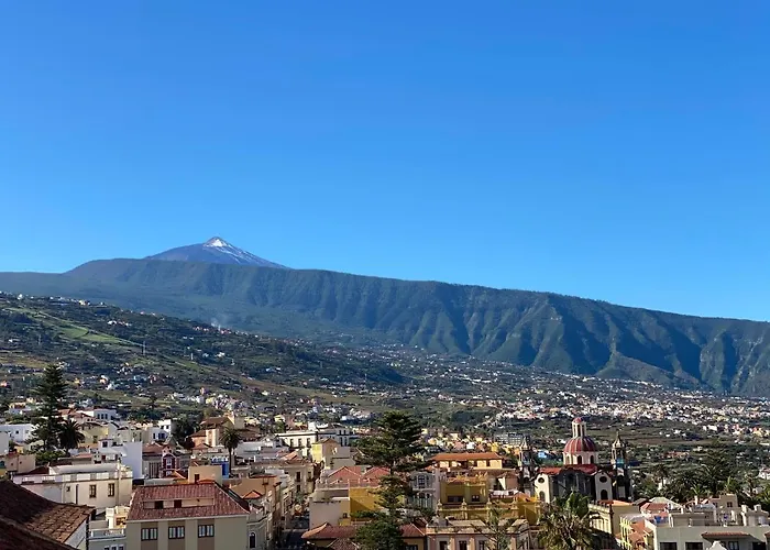Piso Auditorio Centro