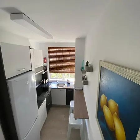 Apartament Piso Auditorio Centro *